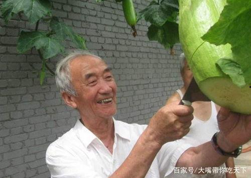 吃瓜奇尊,瓜界传奇的诞生与传奇故事