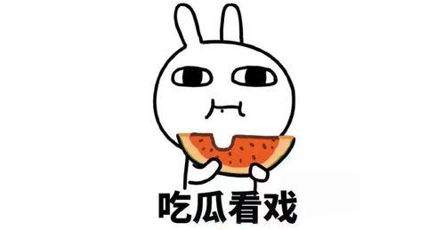 带你吃瓜解说体育,体育赛事背后的趣味解读