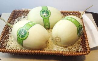 减肥可以吃白玉瓜,美味与健康的完美结合