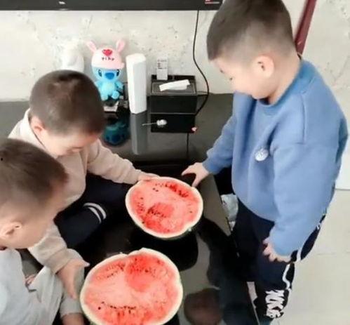 兄弟吃瓜趣事,一场欢乐的“瓜田”盛宴
