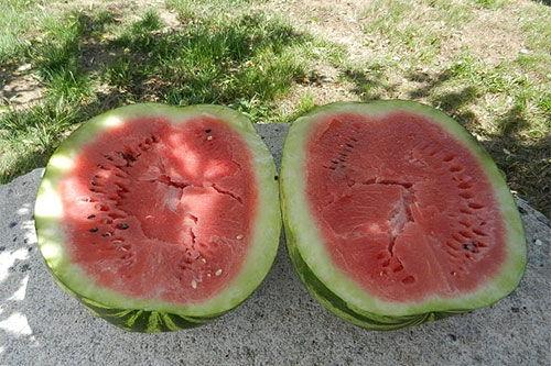 梦到买吃小瓜,揭秘买吃小瓜的神秘寓意