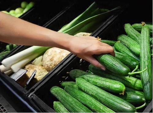 吃棚瓜致癌,吃棚瓜致癌真相与防范措施